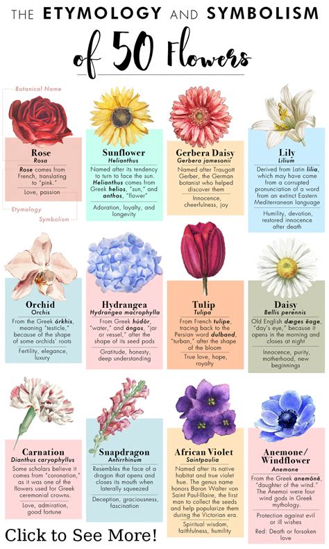 20 Flower Meanings and What They Symbolize 2024 .